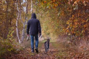 Man and dog walking on nature trail